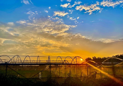 土壤儀器可用于污染問題的的干預(yù)，土壤檢測儀可應(yīng)用的領(lǐng)域有哪些?