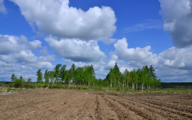 土壤養(yǎng)分速測(cè)儀有什么作用？？土壤養(yǎng)分速測(cè)儀三大功效詳解
