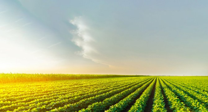 土壤PH測(cè)定儀到底是怎么用的？（土壤ph檢測(cè)儀的使用方法）