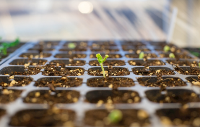 農(nóng)業(yè)中用得到哪些土壤快速檢測(cè)儀？（農(nóng)場(chǎng)必備的土壤檢測(cè)神器）