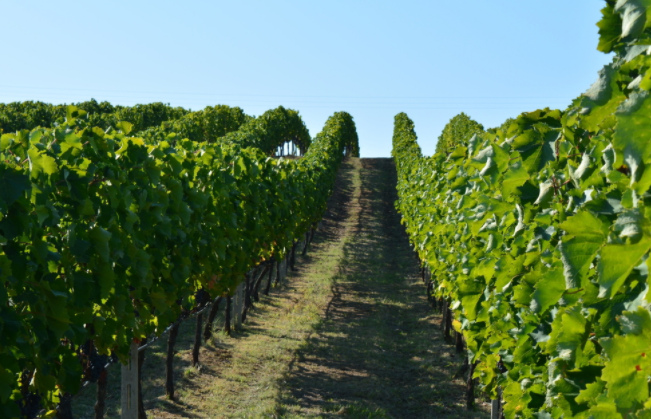 土壤團(tuán)粒結(jié)構(gòu)是個(gè)什么概念？土壤團(tuán)粒結(jié)構(gòu)分析儀測(cè)什么？