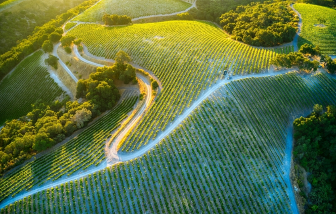 土壤養(yǎng)分速測儀是實(shí)現(xiàn)土地減重增效目標(biāo)的秘訣