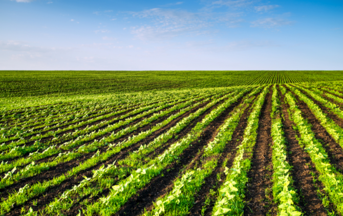 檢測土地質(zhì)量的必需利器！看看土壤微量元素測定儀發(fā)揮怎樣的作用！